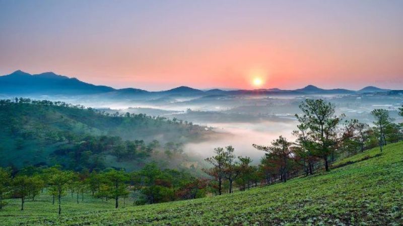 Những hình nền đẹp ở đà lạt 4k đẹp nhất