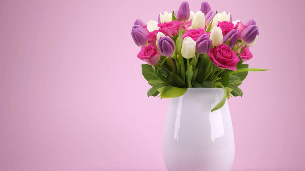 34 hinh nen hoa tulip didongviet