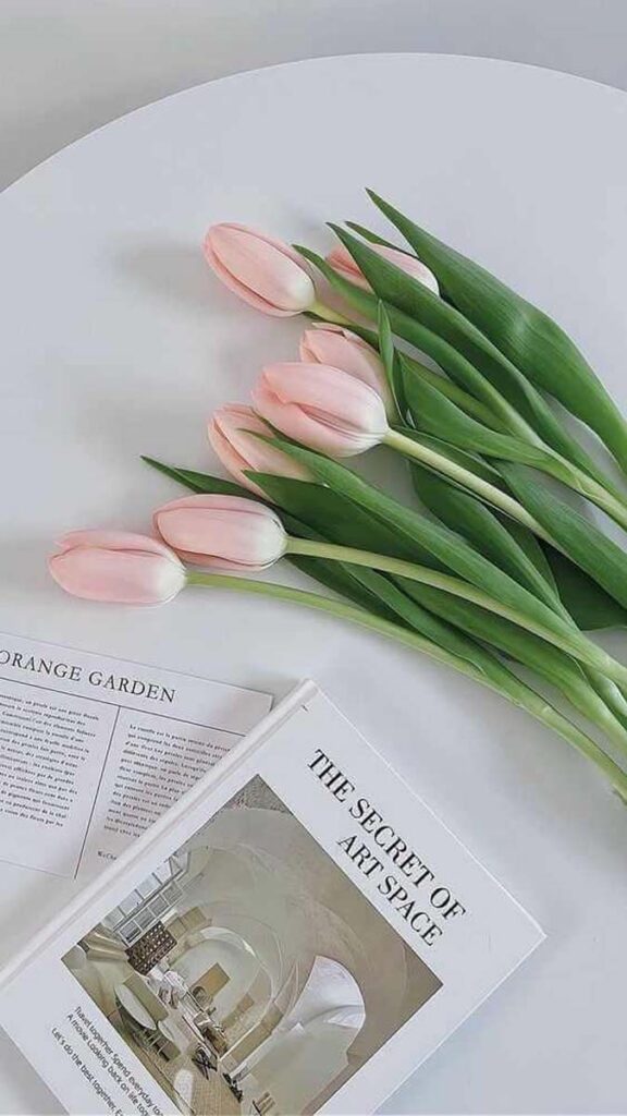 5 hinh nen hoa tulip didongviet