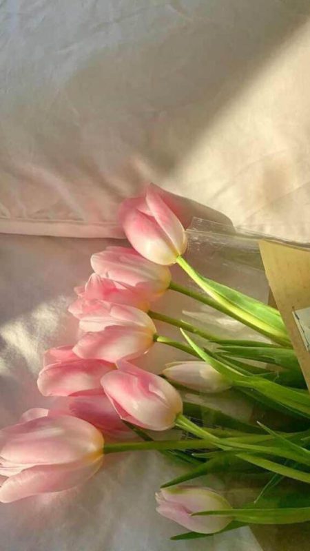 Tải ngay 101+ Hình nền hoa Tulip chill cute đẹp nhất 2023