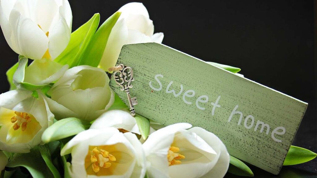 60 hinh nen hoa tulip didongviet