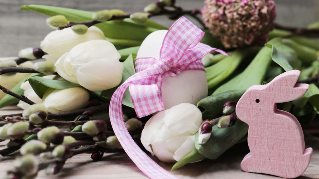 61 hinh nen hoa tulip didongviet