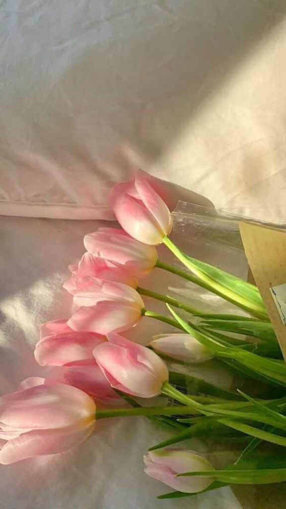 hình nền hoa tulip