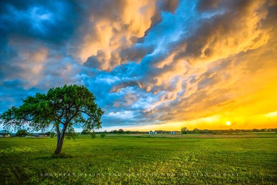 ảnh nền hoàng hôn trên đồng cỏ