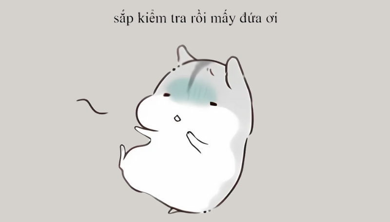 Bộ sưu tập hình nền meme hài, ảnh chế viral