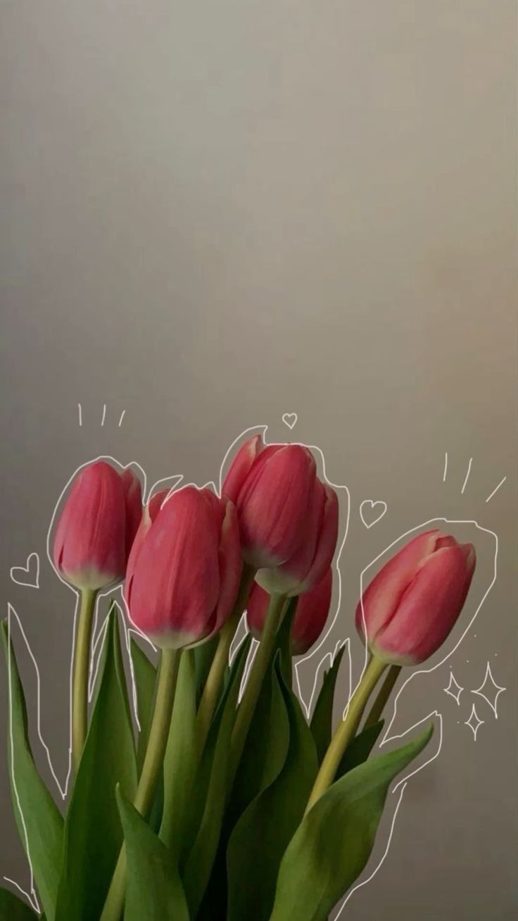 hình nền hoa tulip chill 3
