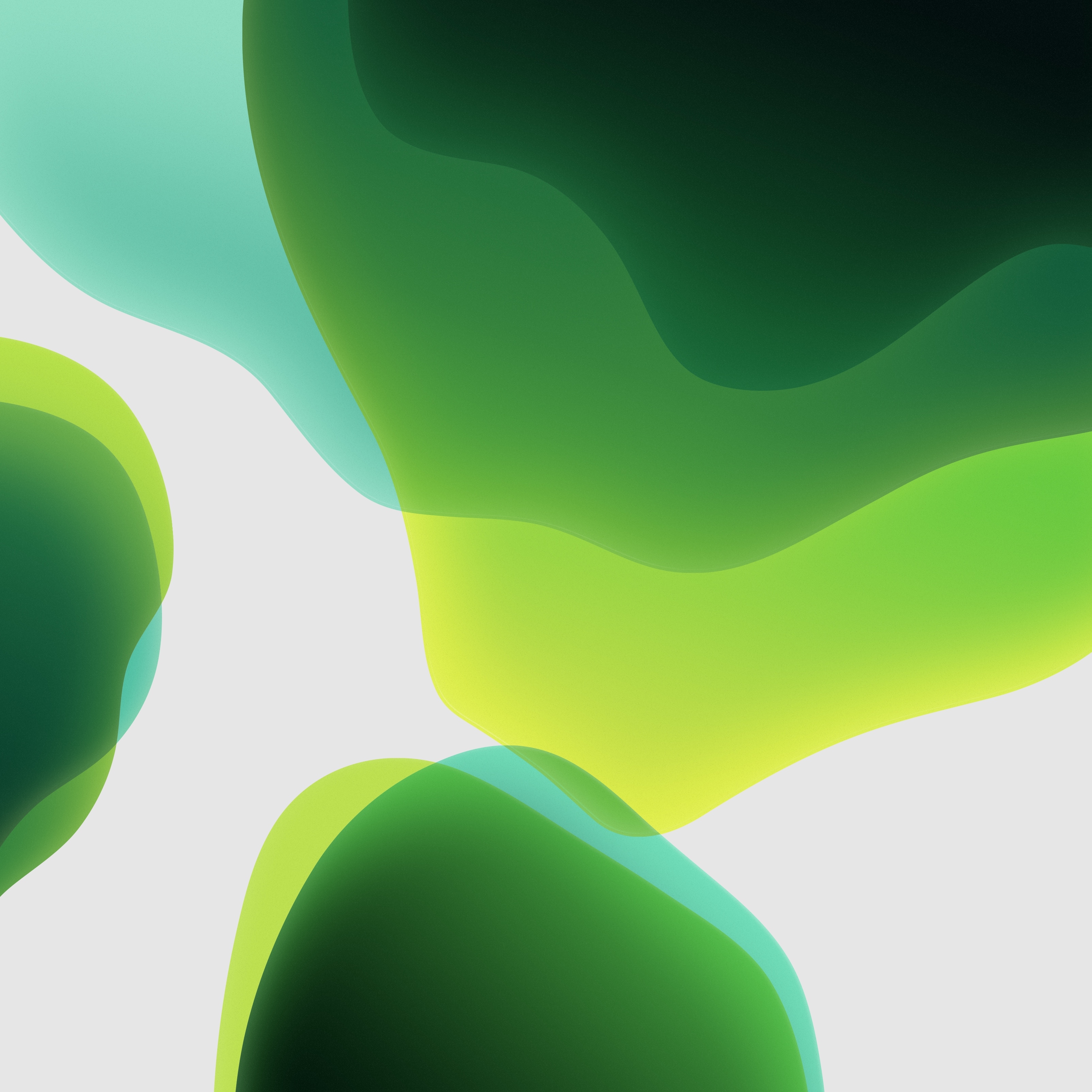 Light mode green iOS 13 wallpaper for iPhone or iPad