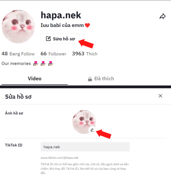 Nhấn sửa hồ sơ