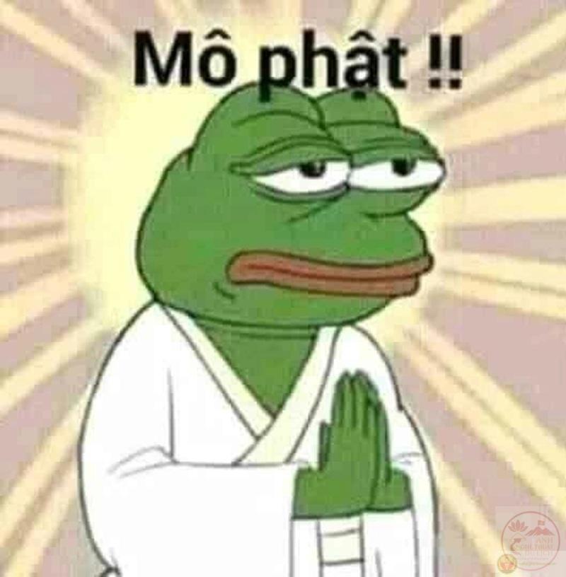 Meme lạy Phật