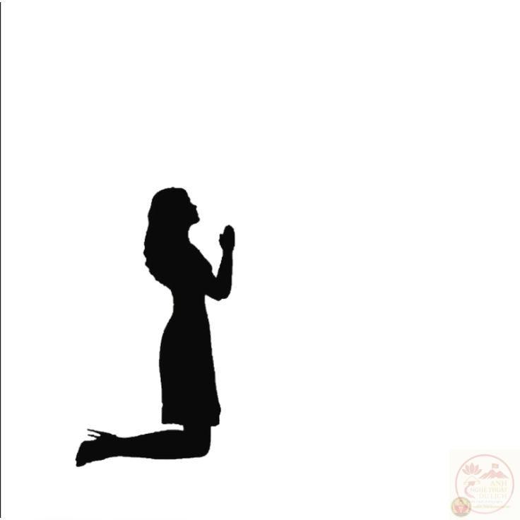 Meme lạy chuẩn công cụ bày tỏ sự