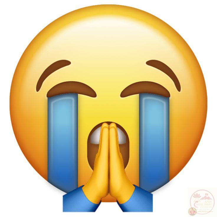 Meme lạy