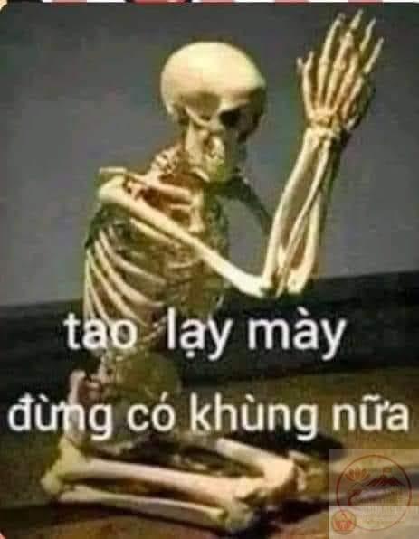 Meme lạy mày