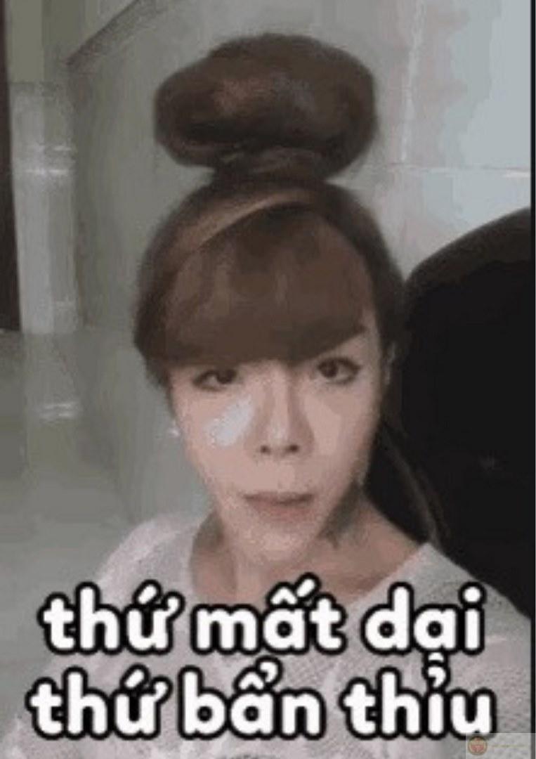 Linda gạch ống meme
