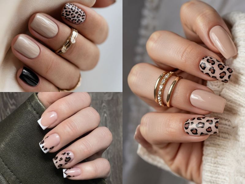 nail vân báo
