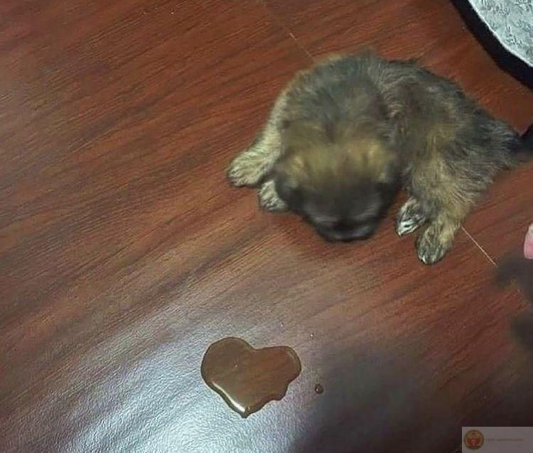 Cái mặt này chắc chắn từng đi học diễn xuất