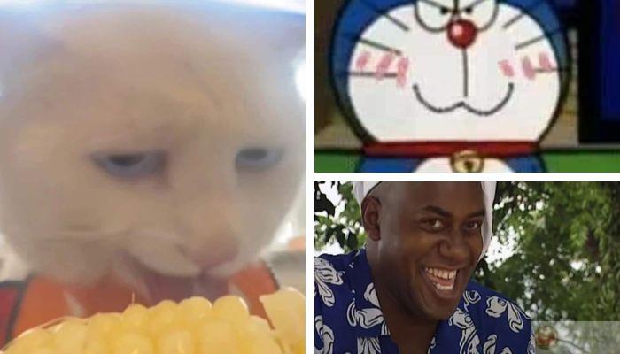 Meme cười gian