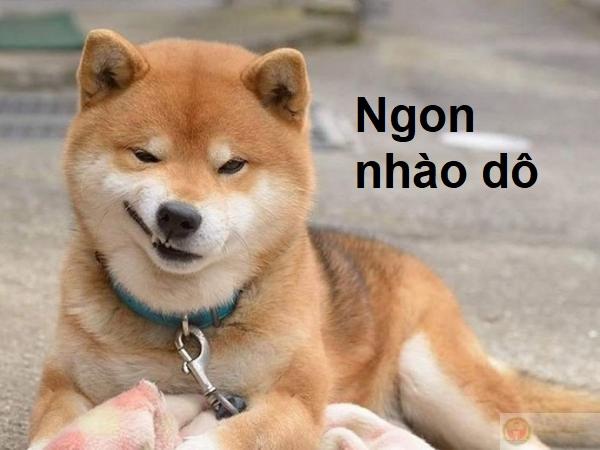 Meme mặt cười