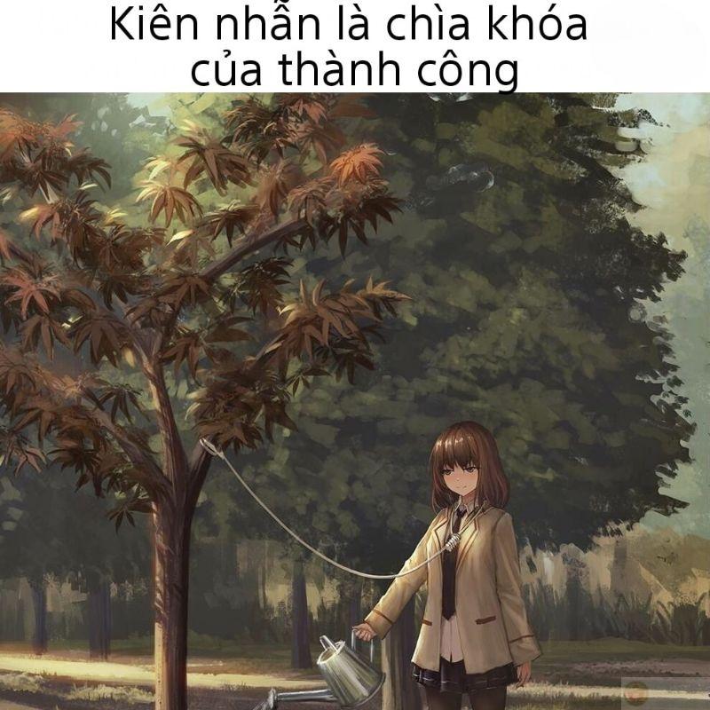 Meme tối