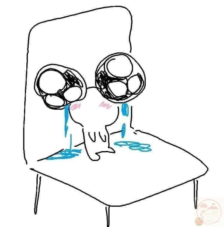 Một meme vẽ dễ thương mang đến cảm giác bình yên sau những giờ học tập căng thẳng