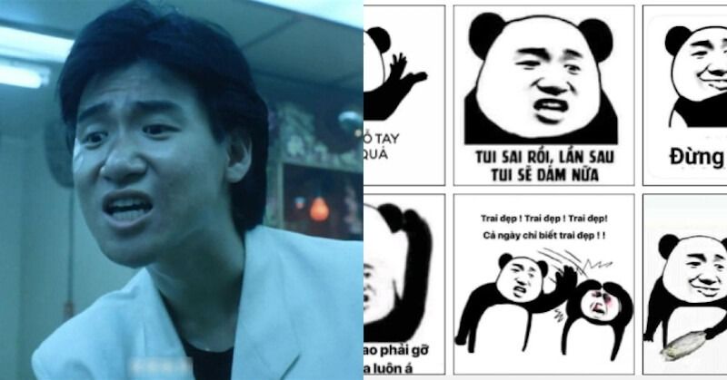 Tổng Hợp 100+ Meme Gấu Trúc Hài Hước, Hóm Hỉnh 2026