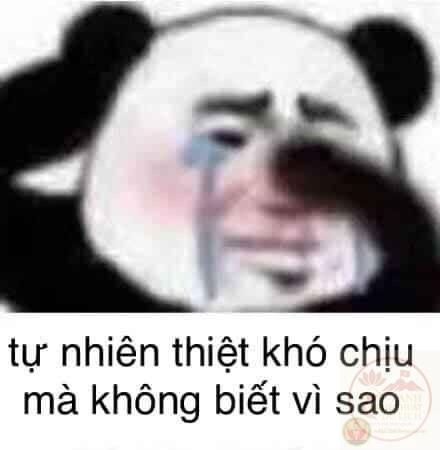 Chỉ cần một chi tiết nhỏ cũng làm bùng nổ cảm xúc dữ dội