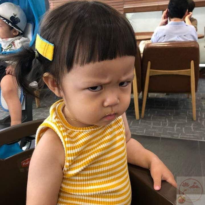 Khó chịu vô cùng meme và bộ ảnh chế siêu hài hước