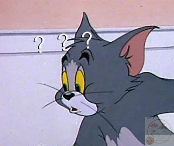 meme bất ngờ