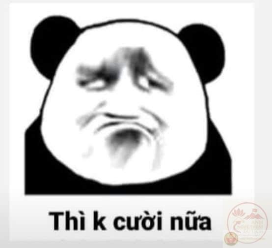 gấu trúc thì không cười nữa