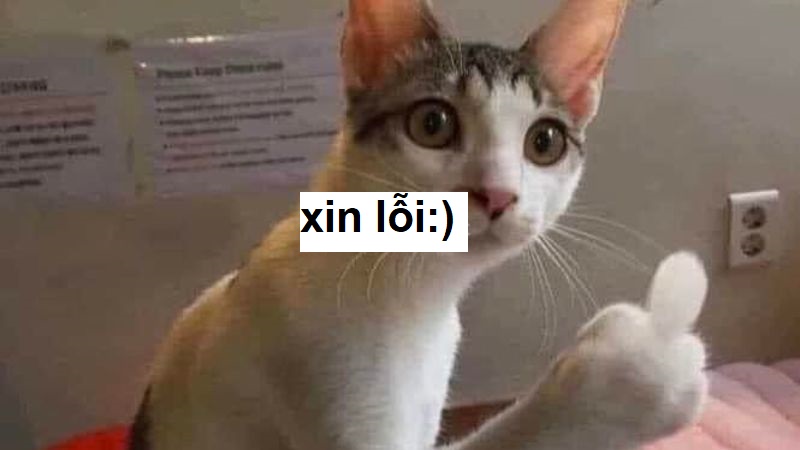 Xin lỗi cái đứa khó ưa