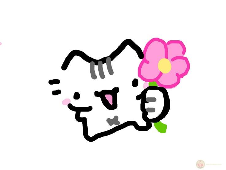 Bộ reaction mèo tặng hoa cute trở thành lựa chọn quen thuộc của Gen Z trên TikTok