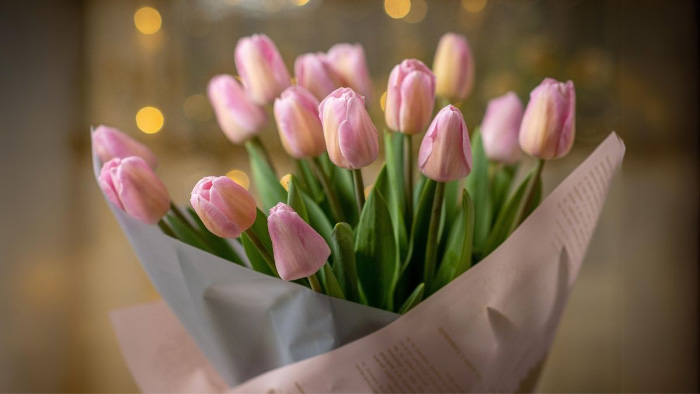 Ảnh hoa tulip