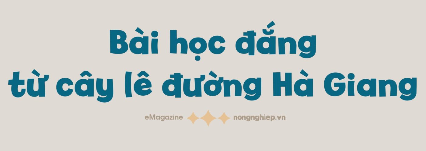 Xin đừng bội bạc với cây ôn đới bản địa của Việt Nam