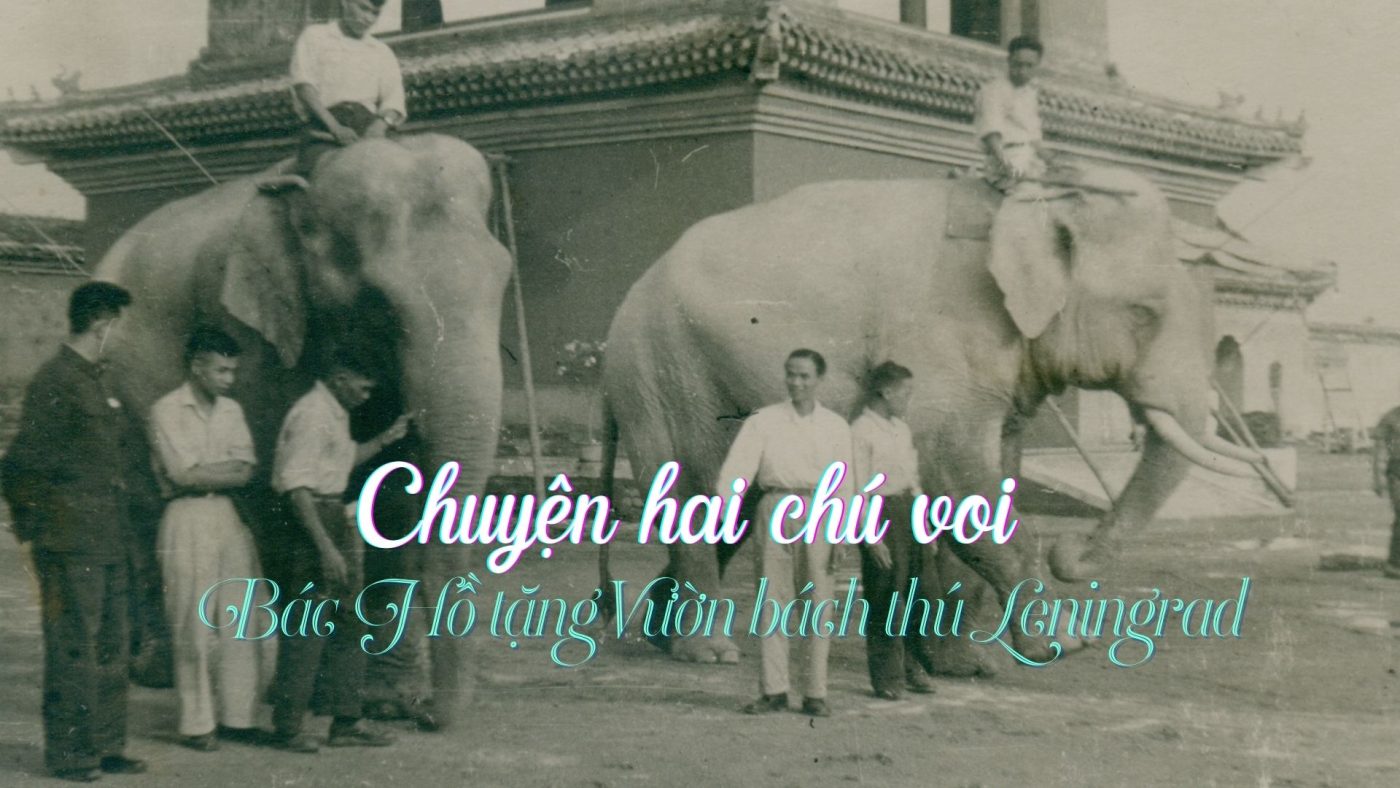 Chuyện về hai chú voi mà Bác Hồ tặng Vườn bách thú Leningrad – Mega Story