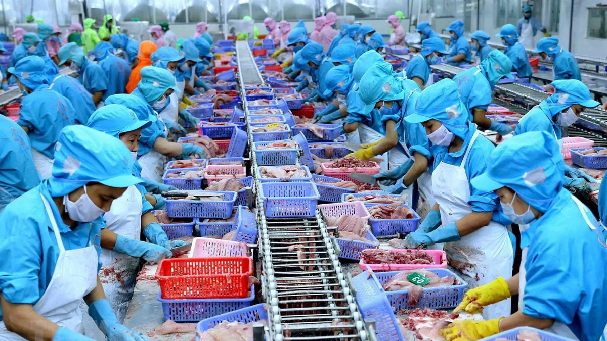 tinh hinh nuoi trong thuy san tai nuoc ta hien nay 5
