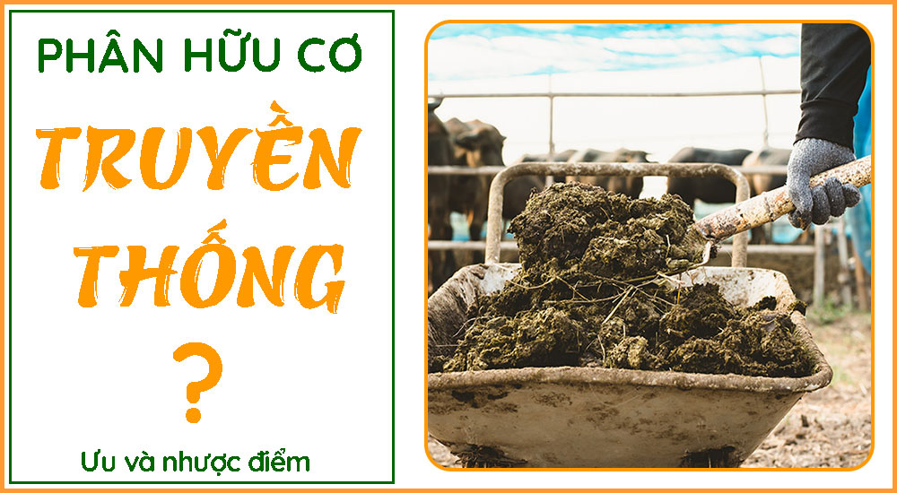 Phân Hữu Cơ Có Đặc Điểm Gì? Cách Chọn Phân Phù Hợp Cho Cây?