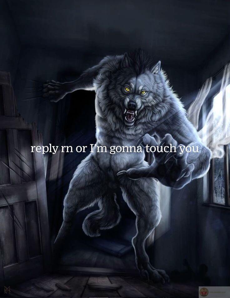 Ảnh sói cô độc meme