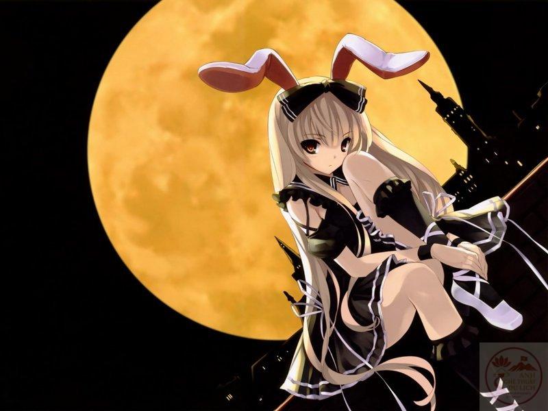Thỏ anime hiền dịu