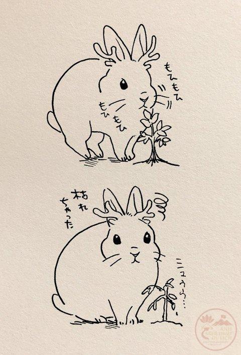 Thỏ anime tự nhiên