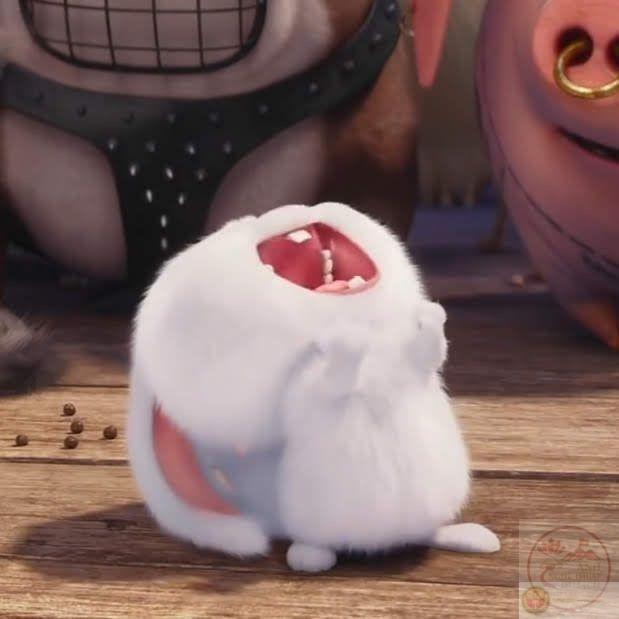 Ảnh thỏ Snowball buồn