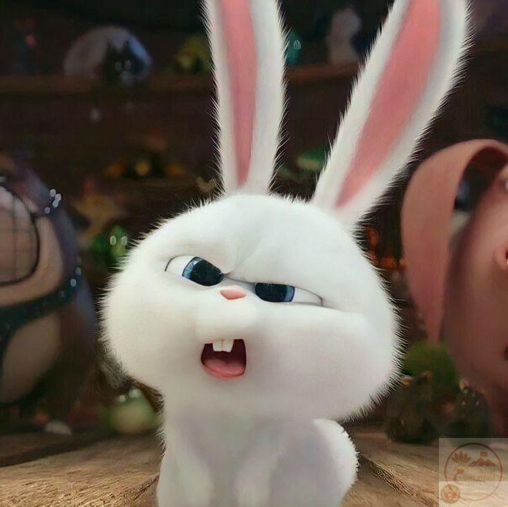 Thỏ Snowball meme: 110+ ảnh đầu gấu, buồn dễ thương từ phim
