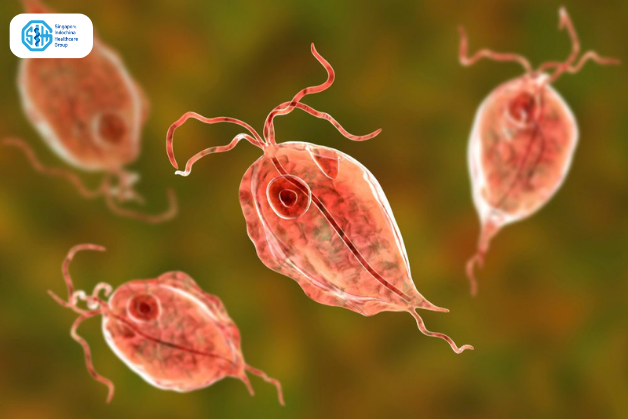 Cách lây nhiễm của Trichomonas