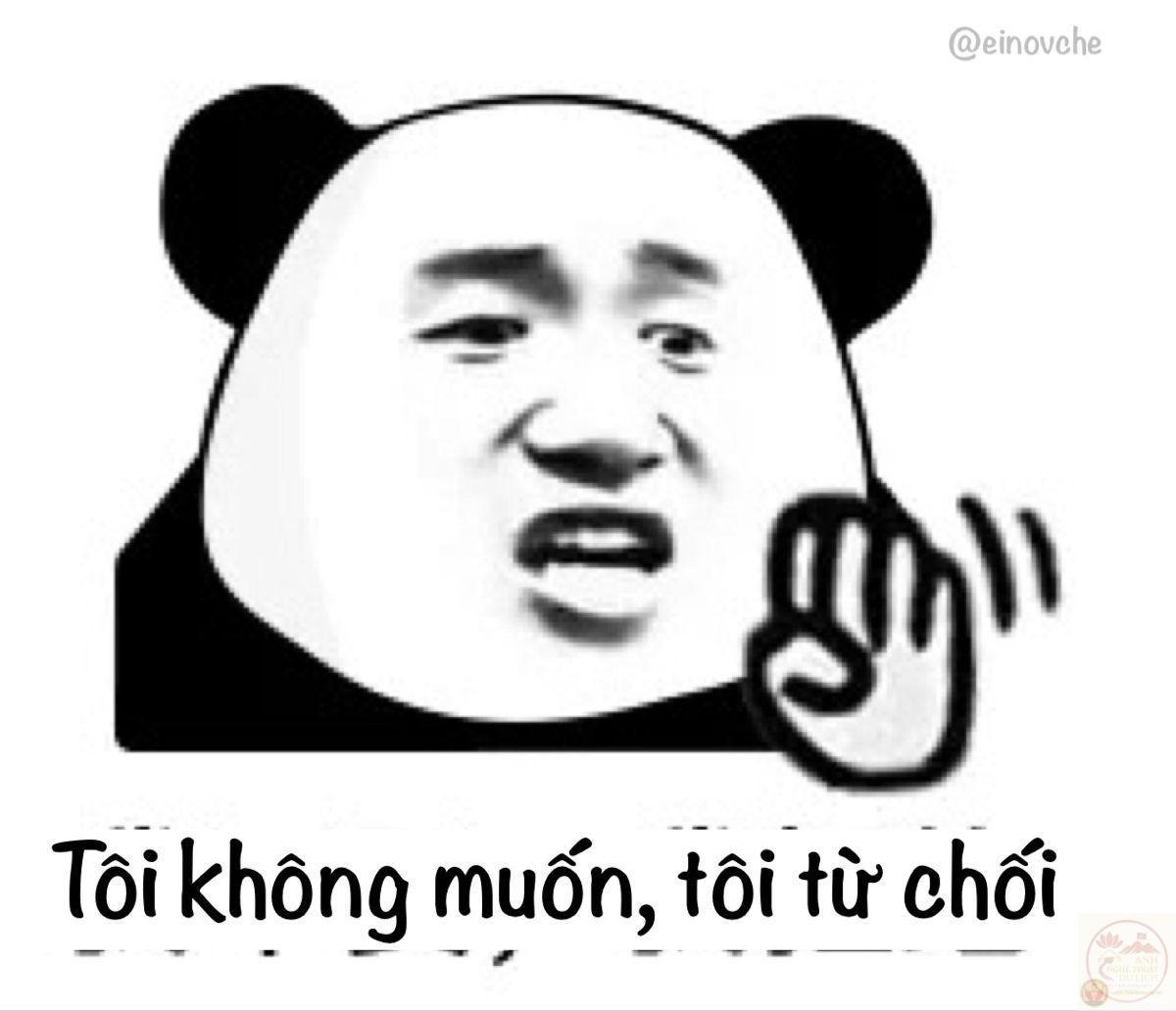 Cái lắc đầu nhẹ nhàng lại trở thành điểm nhấn vui nhộn trong bức ảnh chế