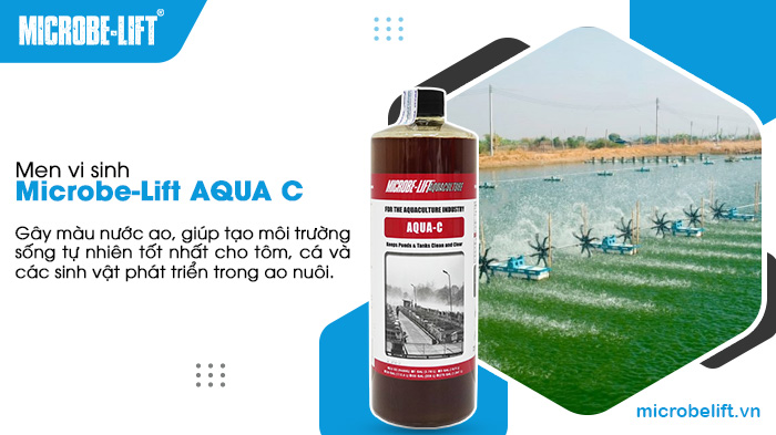 Sử dụng Microbe-Lift AQUA C để gây màu nước, tạo môi trường nước ao lý tưởng cho cá, tôm phát triển.