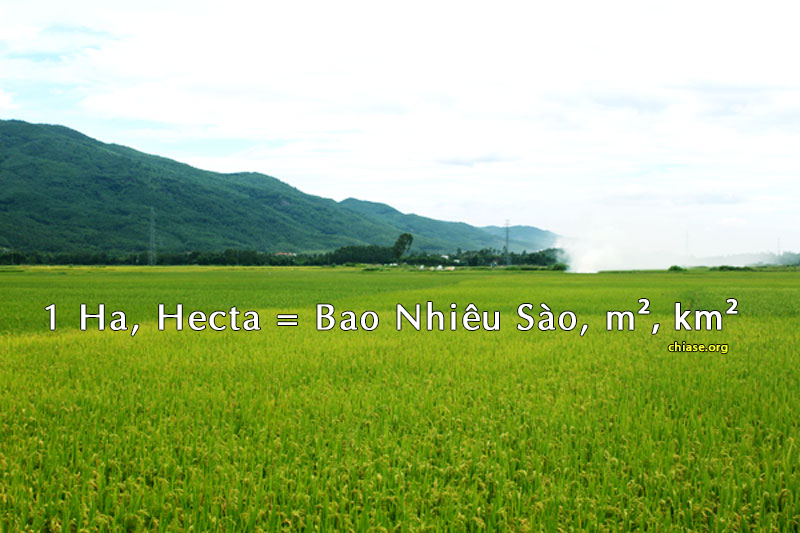 1 ha bằng bao nhiêu mét vuông? Bảng quy đổi héc ta chuẩn 2025