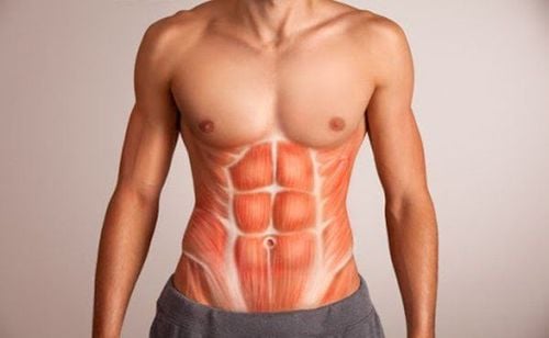 Xây dựng khối cơ giúp cơ thể tiêu hao nhiều calo hơn trong khi chạy bộ