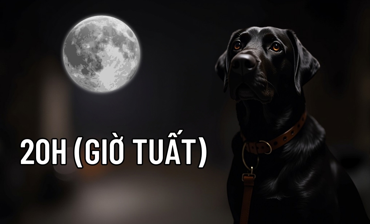 20h là giờ gì? Nên và không nên làm gì lúc 20 giờ tối?
