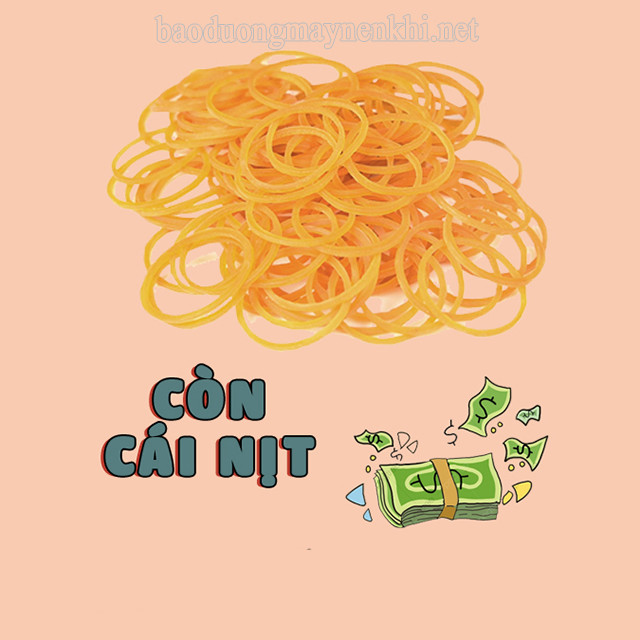 Biểu tượng "còn đúng cái nịt" với font chữ ấn tượng