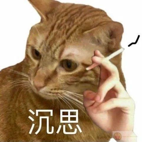 Muốn quên đi mọi thứ, nhưng trí nhớ làm phản