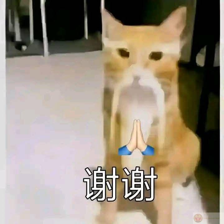 Meme Trung
