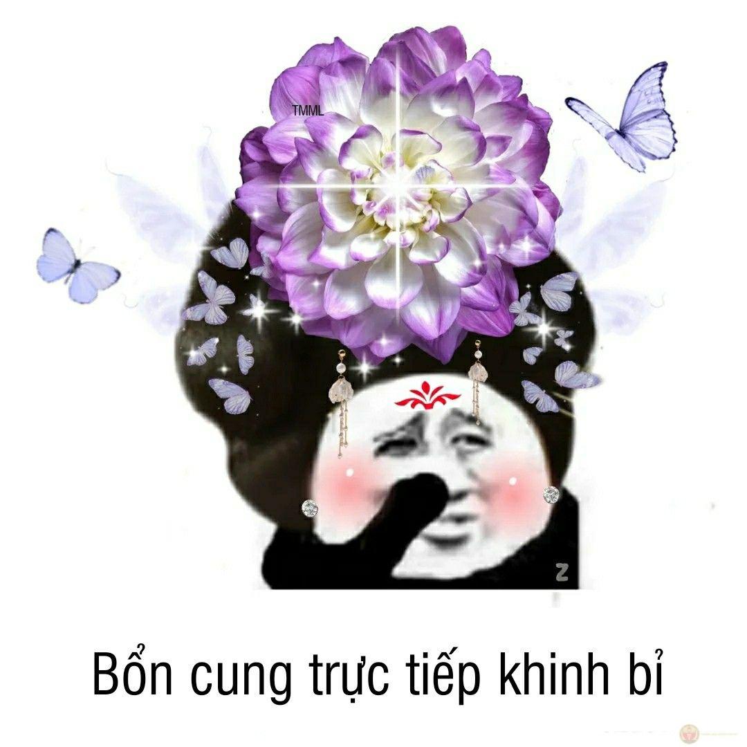 Cứ ai đi lạc là sẽ gặp chân ái